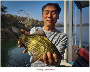 제일..돌감..칠성지 월척 조황..