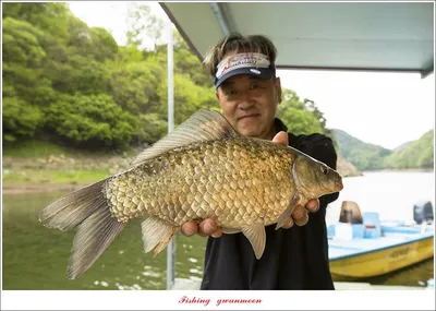 사오리 4 짜..한버들 4 짜..봉낚시터 조황..