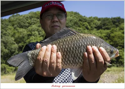 목벌 낚시터 4 짜 조황..
