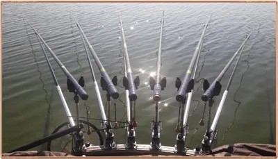 진위천 조황 소식