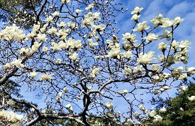 다가온 봄시즌-3월 중순에 드리는 조황안내 입니다.