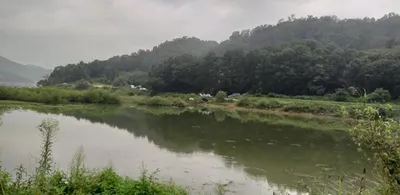 노지에서 대박이---고삼지