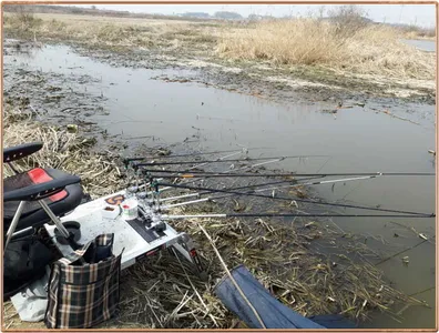 진위천 조황 소식