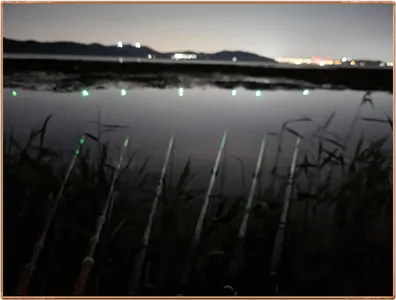 진위천 평택호 조황 