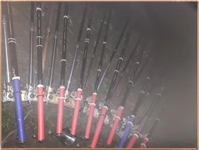 진위천 평택호 조황 