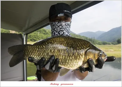 솔 4 짜 3 수..화곡지 4 짜 마릿수 조황..