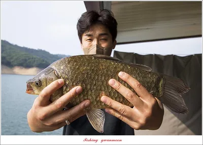 솔 낚시터 4 짜..화곡지 4 짜 및 월척 조황..