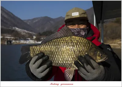 솔 4 짜..신리 4 짜 대물 조황..