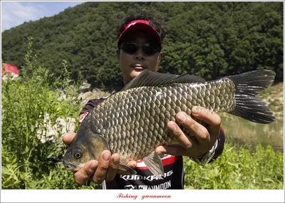 명서 노지..사오리..소이지 4 짜 및 월척 호조황..