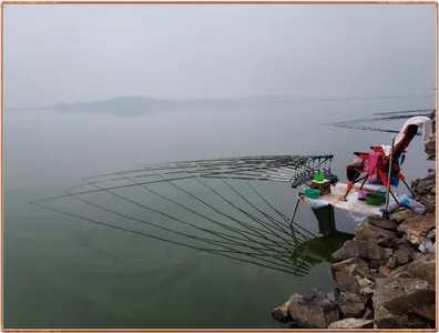 진위천 평택호 조황 