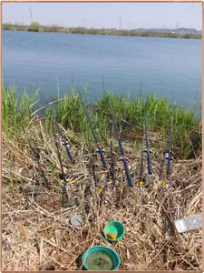 진위천 평택호 조황 