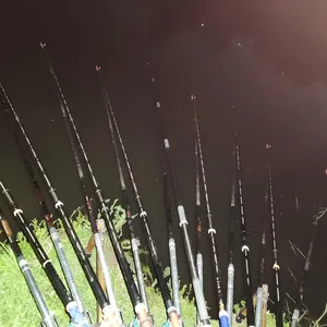 평택호 진위천 남양호 조황 소식