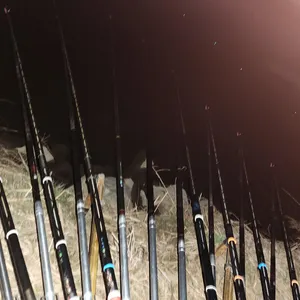 진위천 남양호 평택호 조황 소식