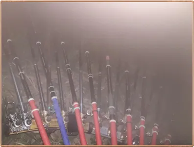 진위천 조황 소식