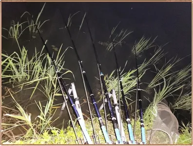 진위천 평택호 조황 