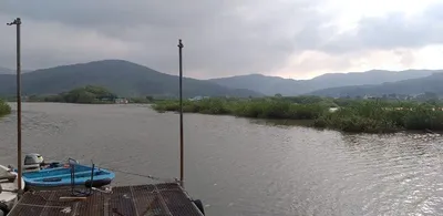 하이선이 지나간 후의 모습---고삼지