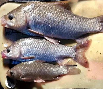 한가위를 맞으며-힌남노가 지나간뒤