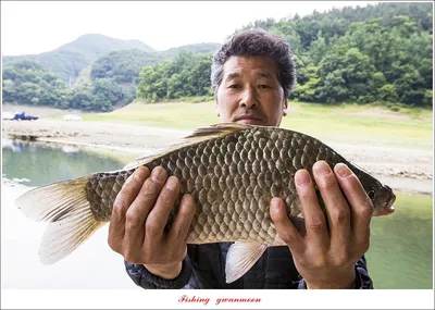 목벌 4 짜 행진..