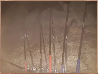 진위천 조황 소식