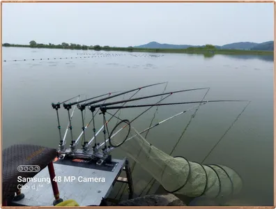 진위천 조황 소식