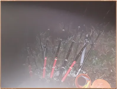 진위천 평택호 조황 