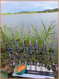 진위천 평택호 조황 