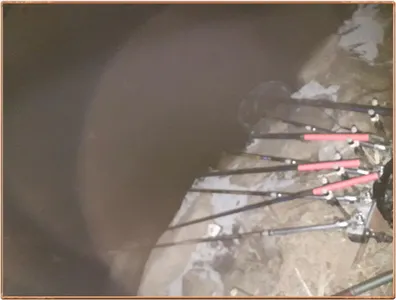 진위천 조황 소식