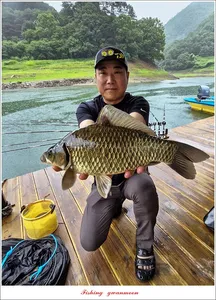 사오리 4 짜 및 마릿수 조황..명서 좌대 수면 위로..