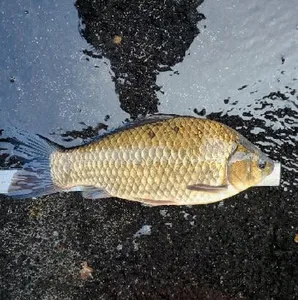 6월하순-장마의 시작