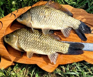 호시절 5월을 앞에다 두고.......