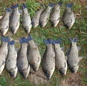 청미천 ---물색이 좋습니다