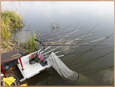 진위천 조황 소식
