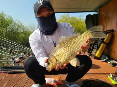 송전지===4짜와 붕어들의 모습