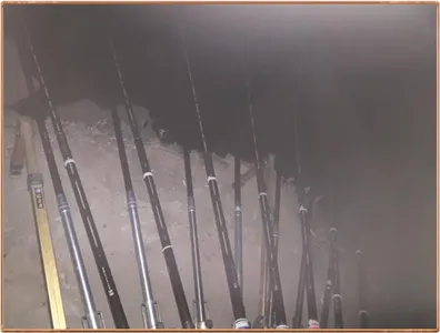 진위천 평택호 조황 