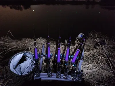 진위천 평택호 남양만 조황 소식 