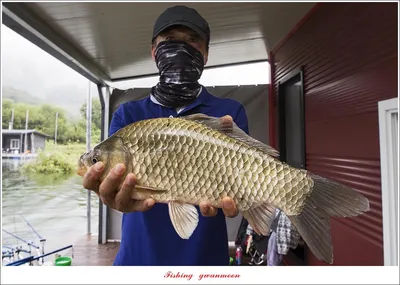 솔 낚시터 44 cm 대물 조황..