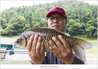 목벌 4 짜 조황..