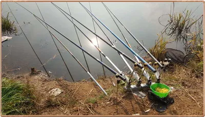 진위천 조황 소식