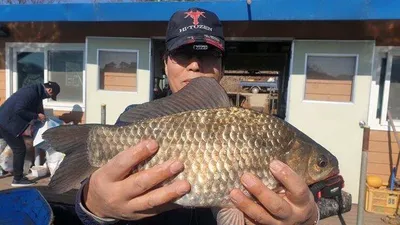 드디어 4짜가-고삼지