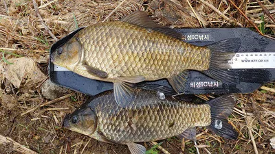 배수걱정없는 의성서부권 동부권 북부권 ~