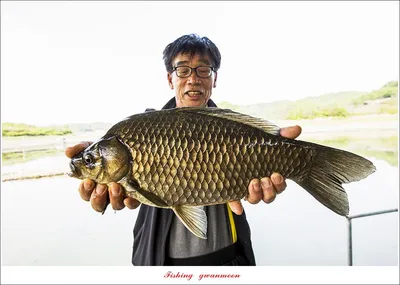 제일 45 cm..40.5 cm..35 cm..대물 조황..