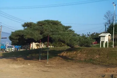 안흥수낚시 주변 낚시터 현황