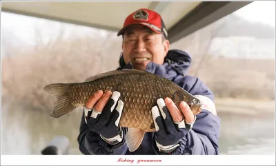 화곡지 4 짜 및 월척 조황..