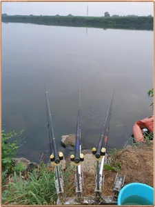 진위천 조황 소식