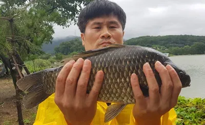 고삼지---4짜의 모습