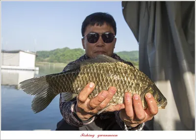 오름수위..제일 4 짜 및 마릿수 월척 조황..