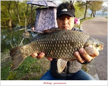 칠성지 4 짜 및 월척 조황 소식..