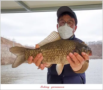 화곡지 41 cm..42 cm..칠성지..매전지 현황..