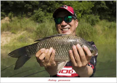 종점 낚시터 4 짜..솔 4 짜 및 마릿수 월척 조황..