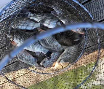 사암[용담낚시터]지ㅡ겨울 물낚시 핫플레이스